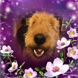 Meet your Posher, Kitty